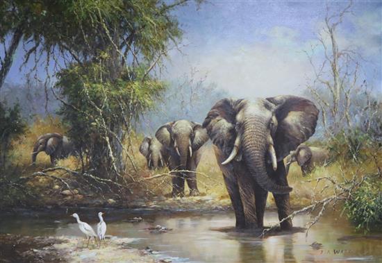 Modern Chinese School, oil on canvas, Elephants watering, signed J A Ward, 60 x 87cm